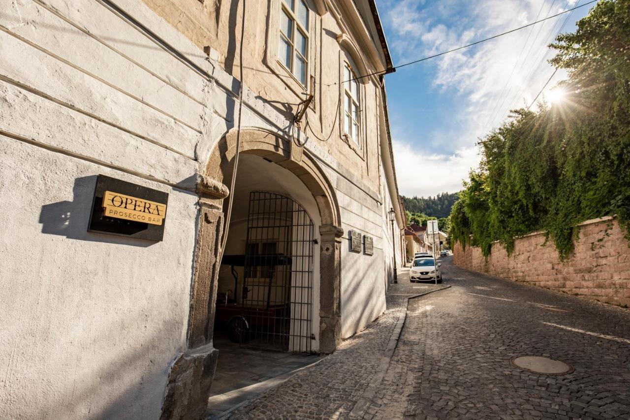 Apartmán Blue Moon Banská Štiavnica Exterior foto